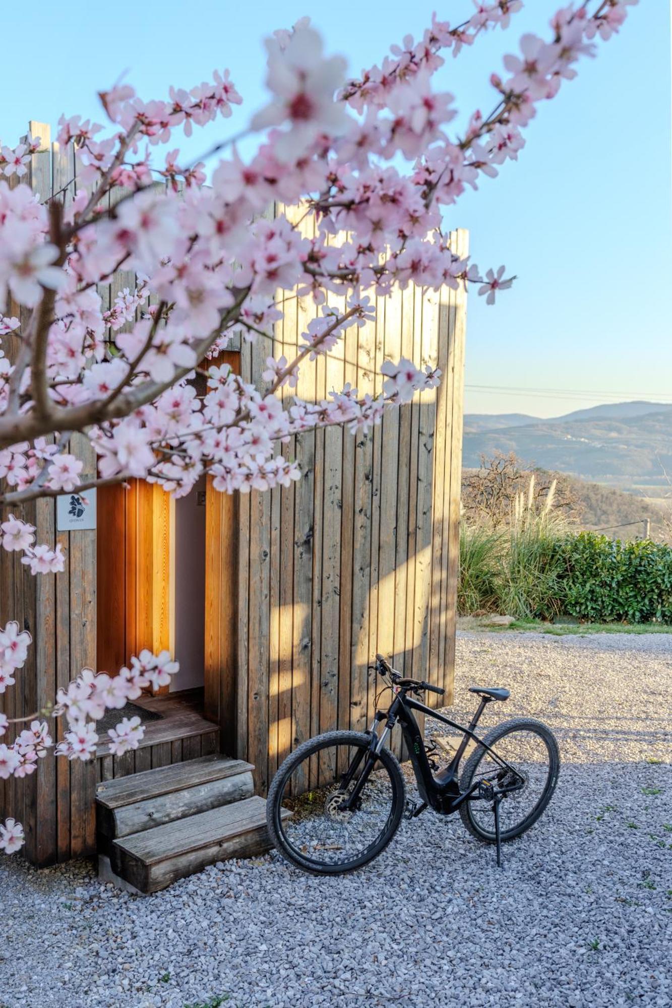 Dobravlje Panorama Glamping Vipavska Dolina 아파트 외부 사진